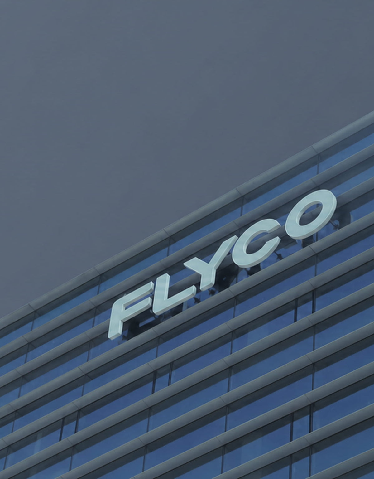 FLYCO 